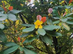 -华南国家植物园-售票处