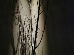 -都氏家DUSJOY(翡翠城店)