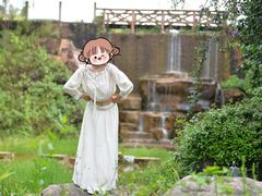 -世界恐龙谷景区