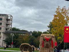 -东北农业大学