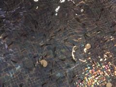 -水晶之星洗浴温泉汗蒸