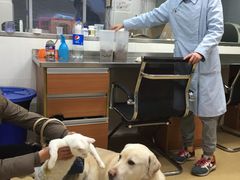 -爱侣宠医·鹦鹉专科·小型哺乳类·异宠专科(灵石路店)