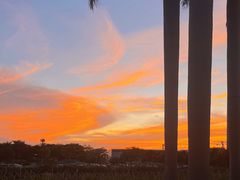 -光明小镇欢乐田园