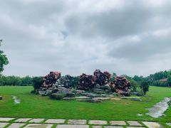 -上海海湾国家森林公园