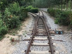 -西青郊野公园