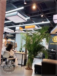 -CIT造型·烫发·染发
