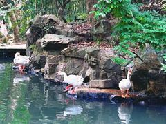 -兰亭风景区