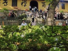 -普陀山风景名胜区-法雨禅寺
