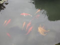-南湾湖