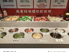 -成老灶火锅鸡(平山店)