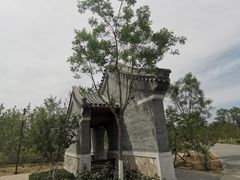 -张家湾公园