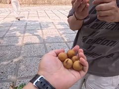 -辛庄国际文化艺术区