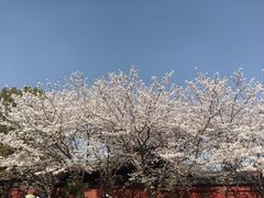 -广富林郊野公园