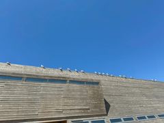 -那香海钻石沙滩浴场