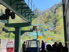 -吉林市朱雀山国家森林公园