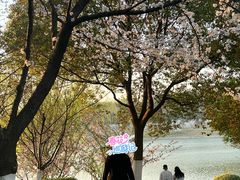 -羊山湖公园