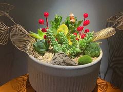 -霖公馆SPA·足道(普善路店)
