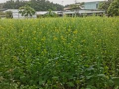 -新合益乡村农庄