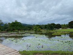 -中国科学院西双版纳热带植物园