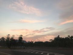 -瑶湖郊野森林公园