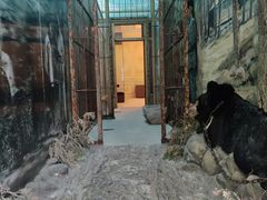 -北京动物园-畅观楼