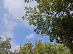 -西苑公园