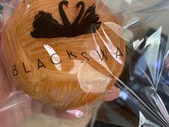 -BLACKSWAN黑天鹅(环球店)