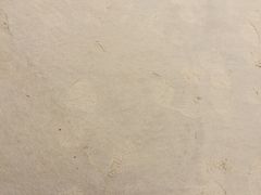 -黄金海岸