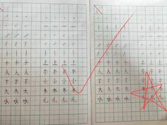 -赵汝飞练字硬笔书法(航头校区)