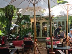 -Fern Forest Cafe