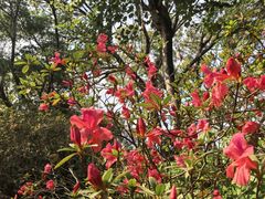 -广州莲花山旅游区