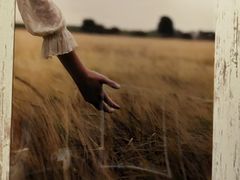 -宜家家居(四元桥商场店)