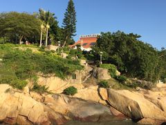 -鼓浪屿钢琴博物馆