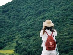 -大姆山草场