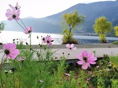 -丽江泸沽湖景区