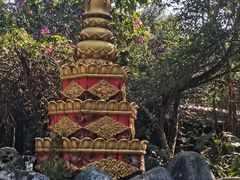 -瑞丽独树成林风景区