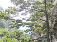 -雁荡山风景名胜区