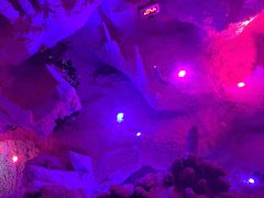 -水晶之星洗浴温泉汗蒸