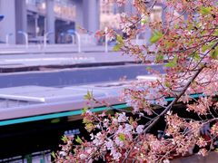 -南浦大桥长途旅游客运站