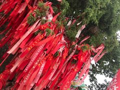 -陕西省红河谷森林公园