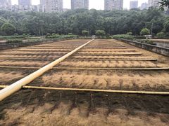 -重庆彩云湖湿地公园