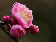 -静安雕塑公园