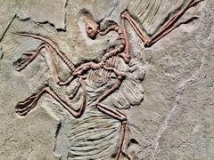 -三夫户外(天钥桥路店)