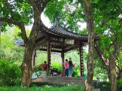 -四海公园(南山区)