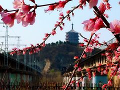 -永定河休闲森林公园