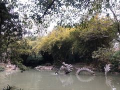 -汇龙潭
