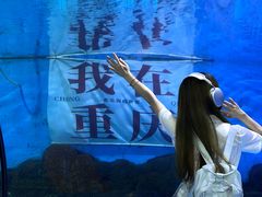 -重庆欢乐海底世界