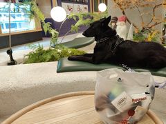 -帕帕拉兹宠物(亚洲旗舰店)