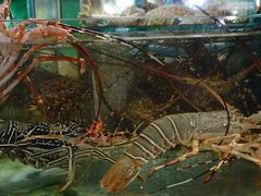 -班赞海鲜市场