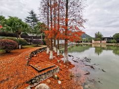 -明月山天沐温泉度假村